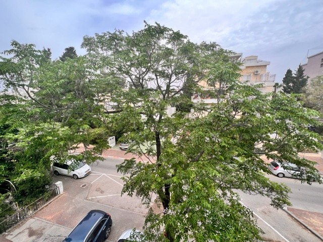 נוף מהדירה שכונת נווה שאנן חיפה