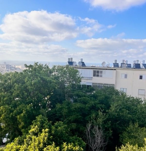 דירה למכירה ברחוב הגליל חיפה - הנוף הנשקף מהדירה