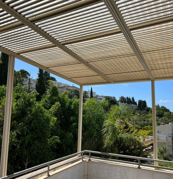 רמת אלמוגי