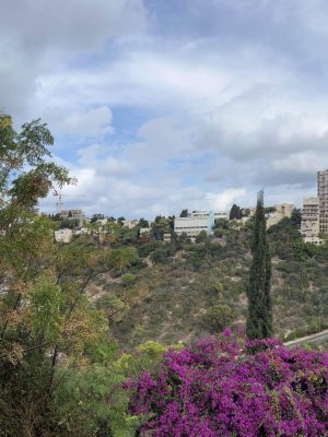 נוף מהדירה 5 חדרים שוהם בכרמל, מרפסת