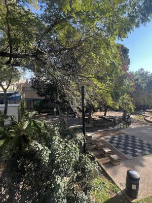 מיקום שקט ופסטורלי ומצד שני צמוד למושבה הגרמנית קריית אליעזר לכל מוקדי העניין והשירותים