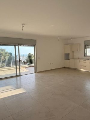 מרכז חורב ברחוב סמולנסקין 3 חדרים