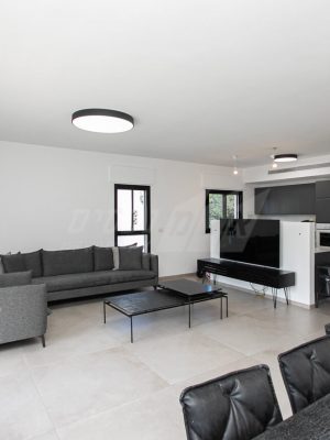 סלון הדירה - דירת 6.5 חדרים ברחוב אלחנן מיקום פריים לוקשיין בכרמל