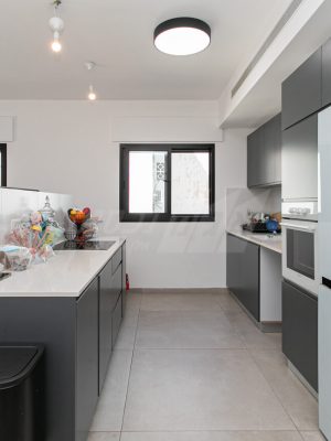 מטבח - דירת 6.5 חדרים ברחוב אלחנן בכרמל