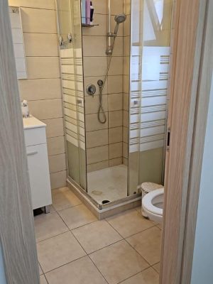 בנאות פרס ברחוב חמדה, דירת 4 חד למכירה - חדר מקלחת