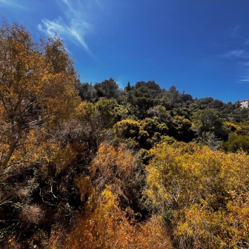 נוף הרים דירת 4 חדרים ברמות רמז חיפה רחוב בורלא